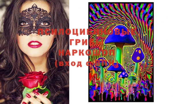 круглые Алзамай