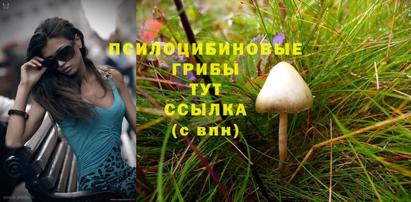 таблы Алексеевка