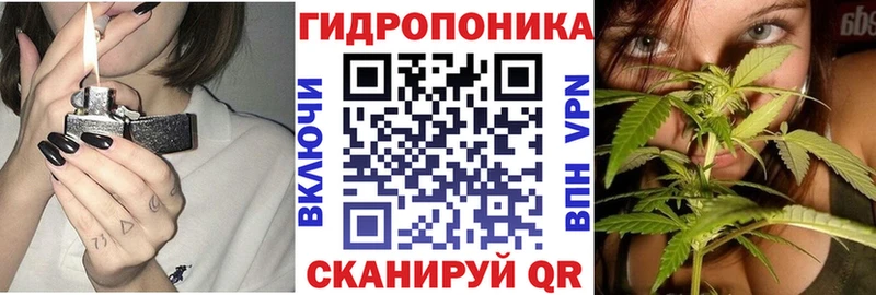 площадка как зайти  купить наркотик  Игра  Канабис планчик  hydra  